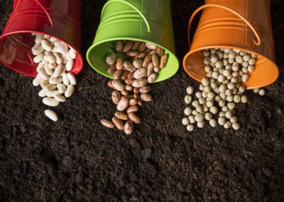 Europhins | Biodiagnostics